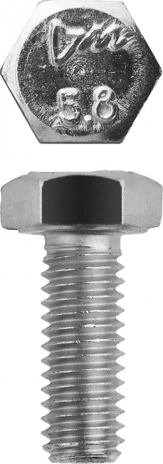 Болт ГОСТ 7798-70, M6 x 12 мм, 5 кг, кл. пр. 5.8, оцинкованный, ЗУБР,  ( 303080-06-012 )