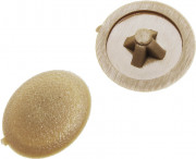 Заглушка декоративная под шуруп, цвет сосна, шлиц №2, 40шт, ЗУБР,  ( 4-308156-4 )