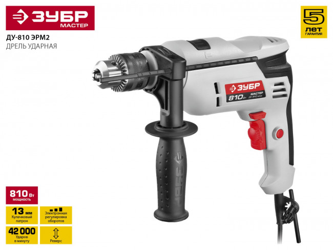 Дрель ударная, ЗУБР ДУ-810 ЭРМ2, патрон 13мм, реверс, сталь 10 мм / бетон 13 мм / дерево 20 мм, 810 Вт,  ( ДУ-810 ЭРМ2 )
