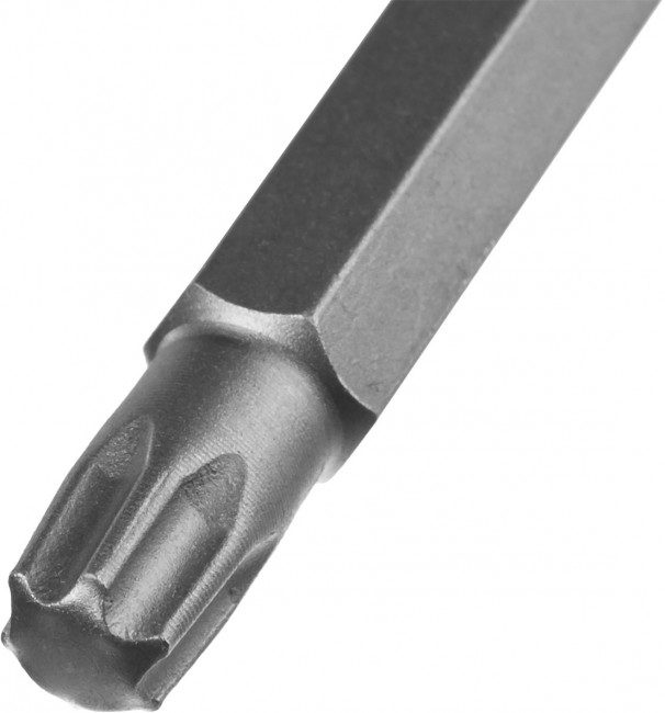 Биты ЗУБР "МАСТЕР", тип хвостовика E 1/4", 50мм, T30, 2шт,  ( 26005-30-50-2 )